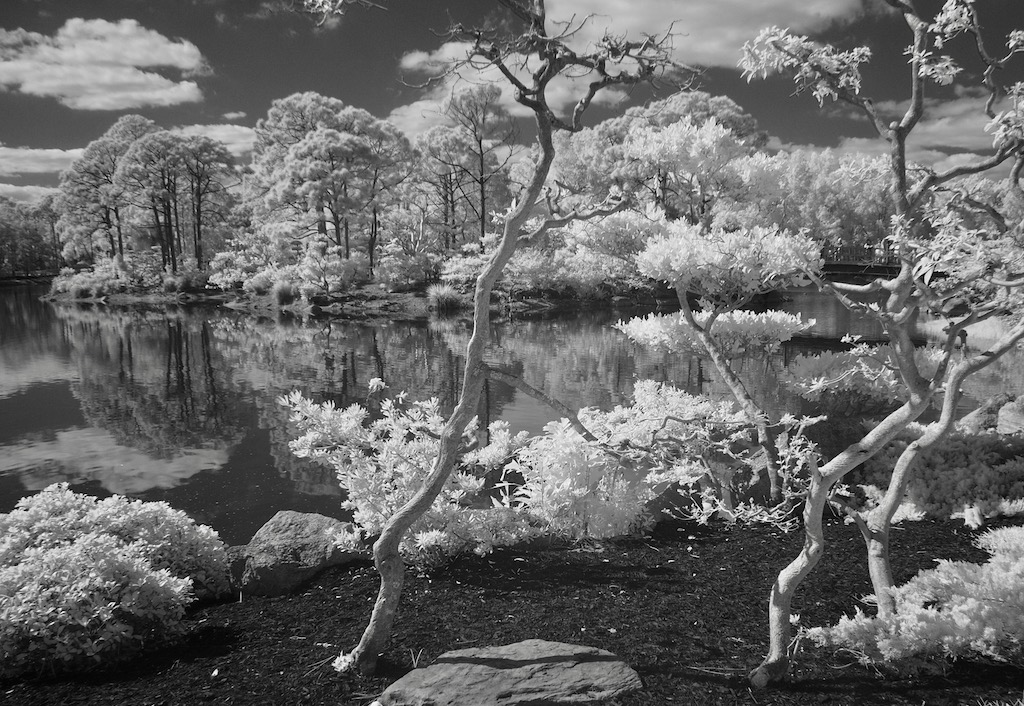 Manipulated Art In Class A By Deborah Kazes For Tranquil JAN-2019.jpg